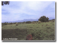 Lubao